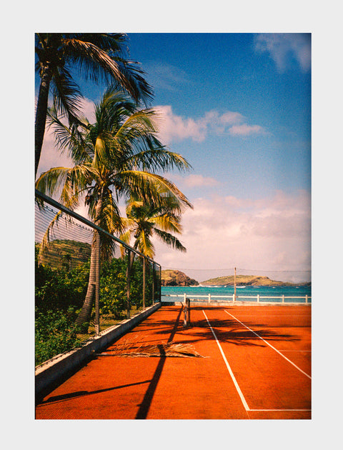 St Barth palm on court