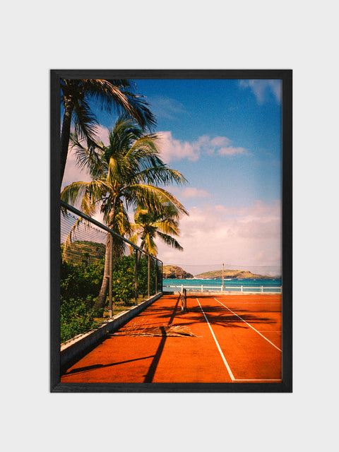 St Barth palm on court